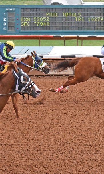 Lawsuit by owner, trainer targets New Mexico horse racing